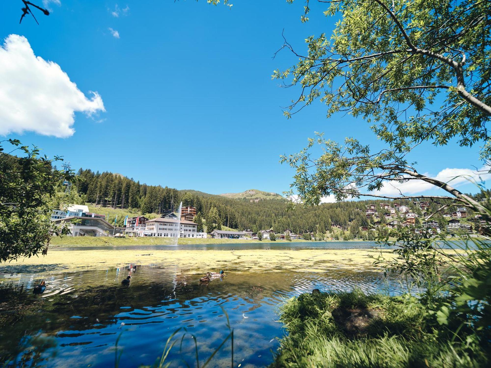 Haus Padrun 8 By Arosa Vacations Leilighet Eksteriør bilde