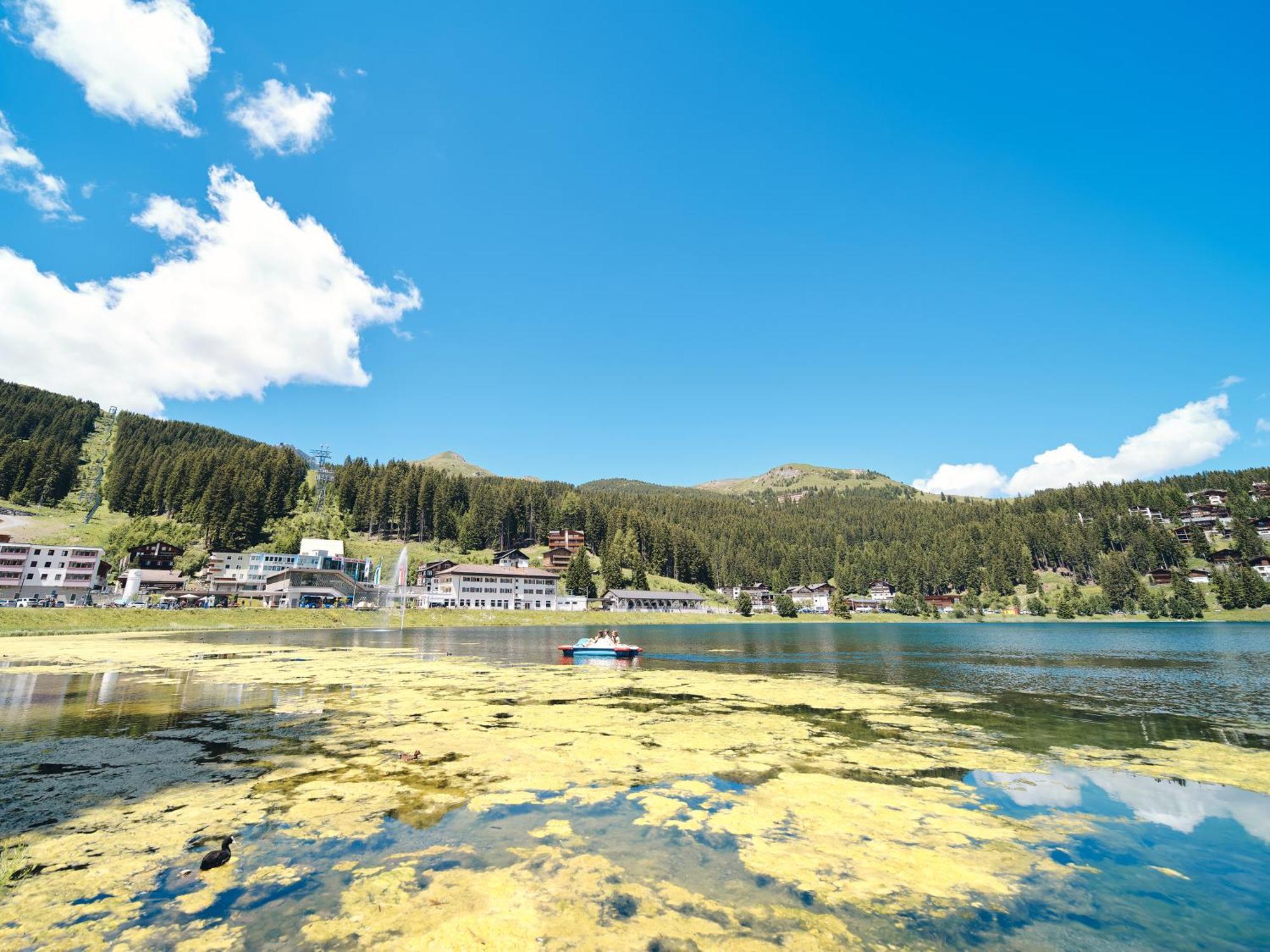 Haus Padrun 8 By Arosa Vacations Leilighet Eksteriør bilde